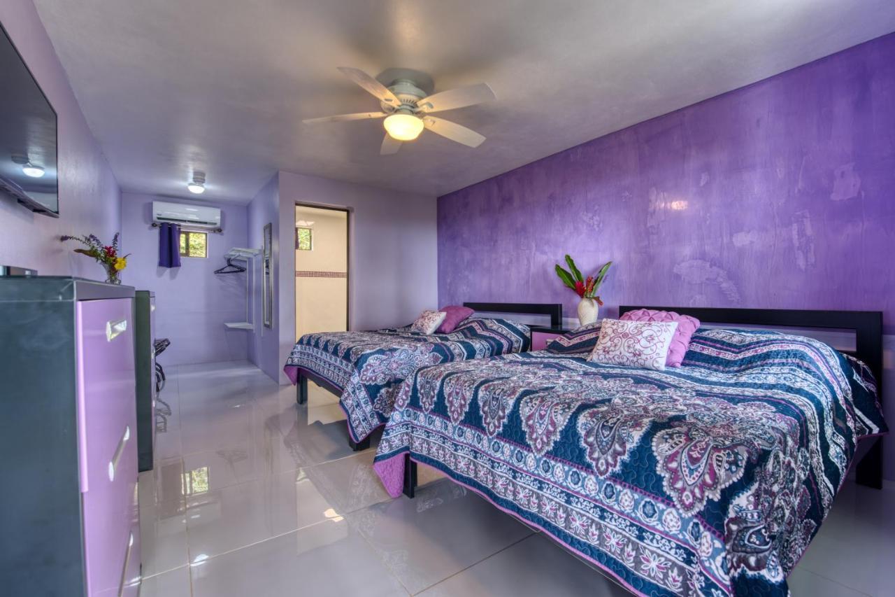 Hotel Casa Conley Del Mar Puerto Viejo de Talamanca Extérieur photo